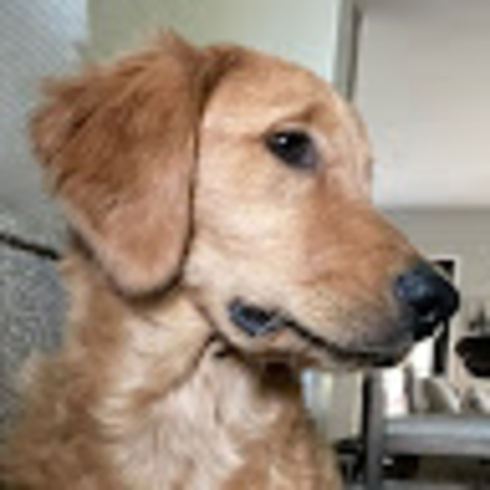 Meet your Posher, Kash